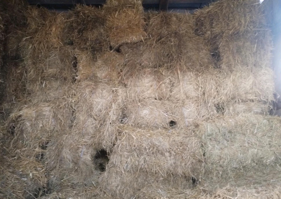 Seno malé hranaté balíky - 3