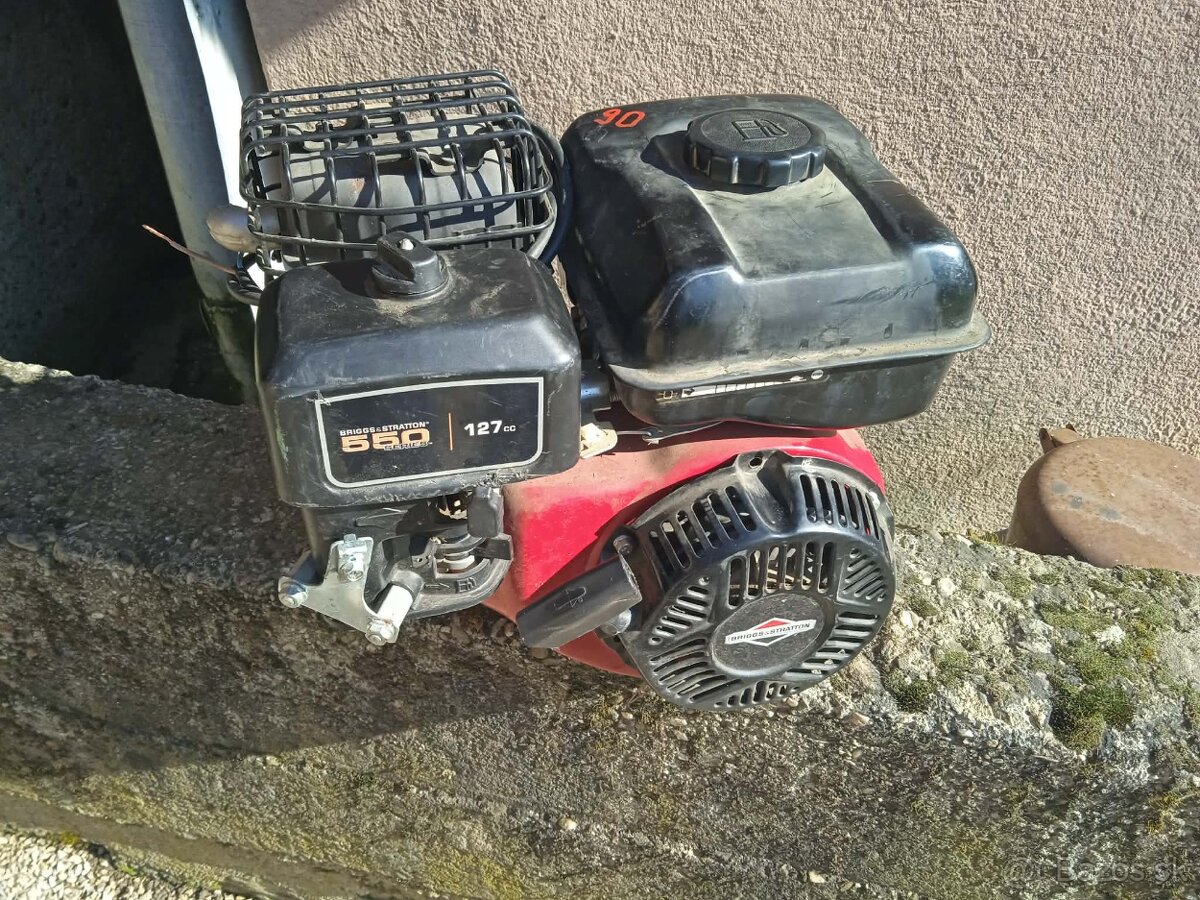 Briggs Stratton - 3