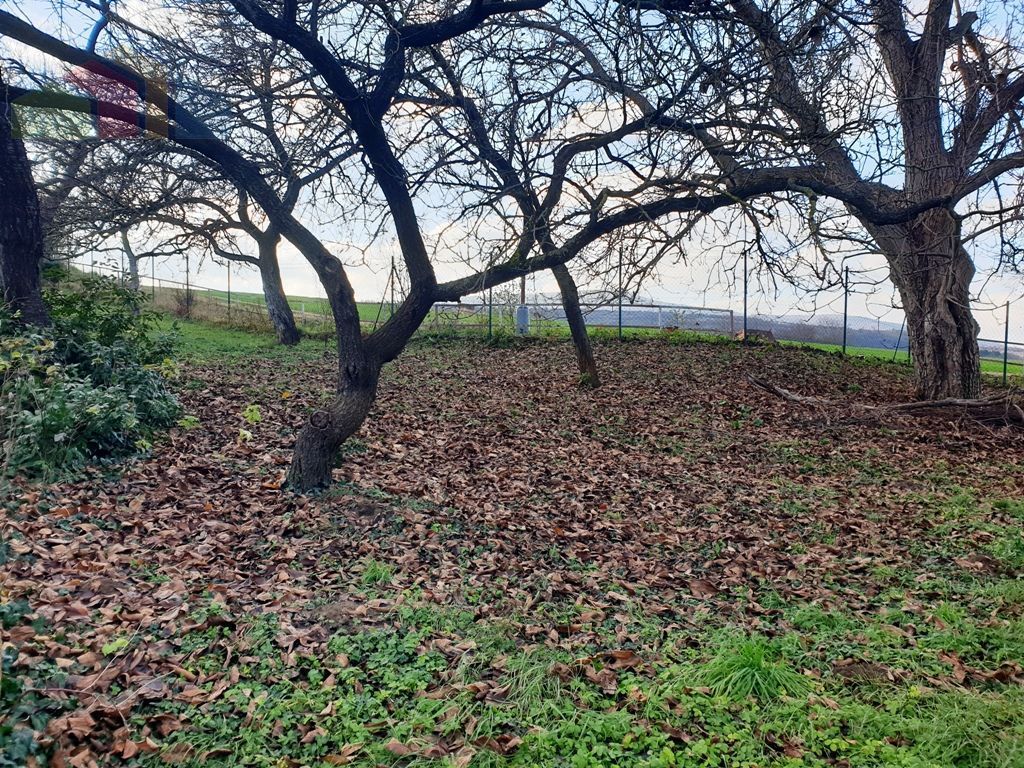 Na predaj investičná záhrada o výmere 784 m2 - Ľ. Podjavo - 3