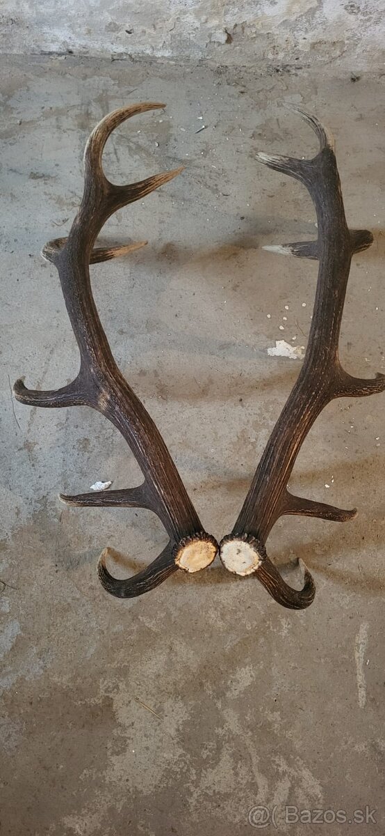 Jelenia parka.14 torak.zhody.parohy - 3