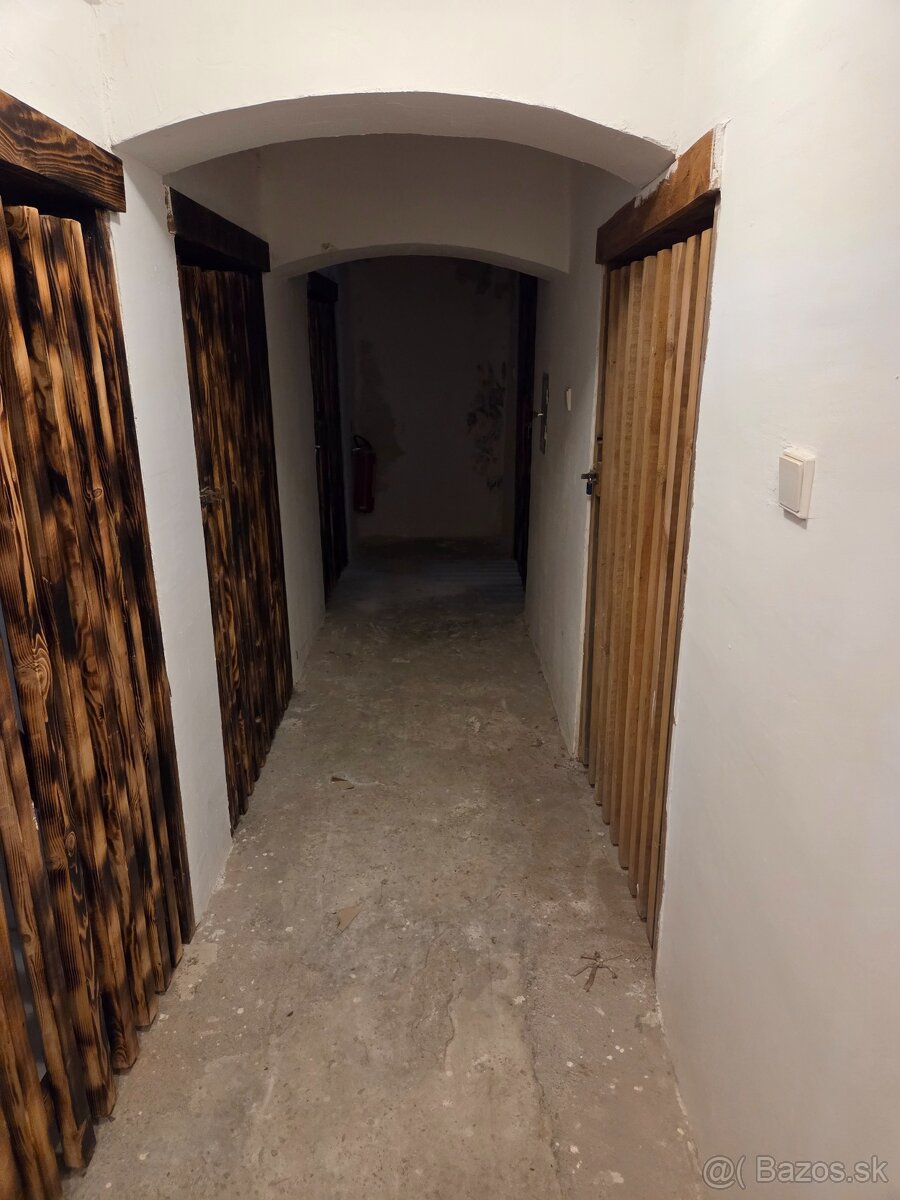 Predám alebo prenajmem nebytový priestor - 3