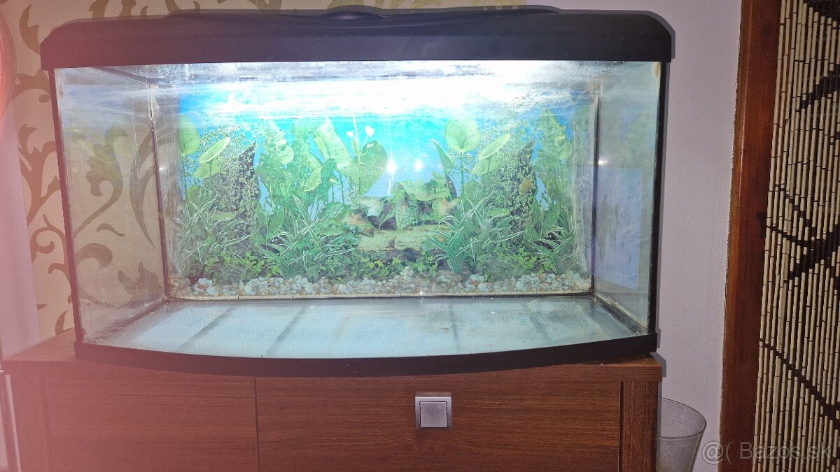 Akvárium 120l - 3