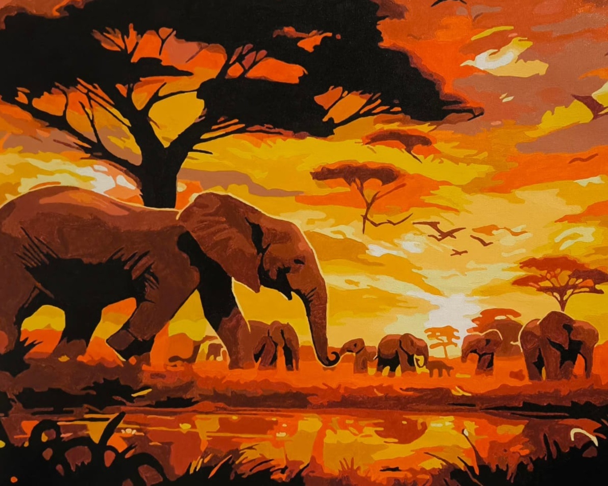 Afrika na plátne - 3