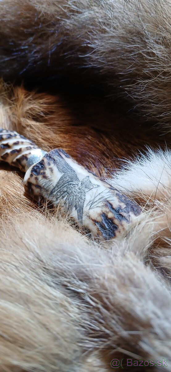 Vabnička, zajačie vrešťadlo - 3