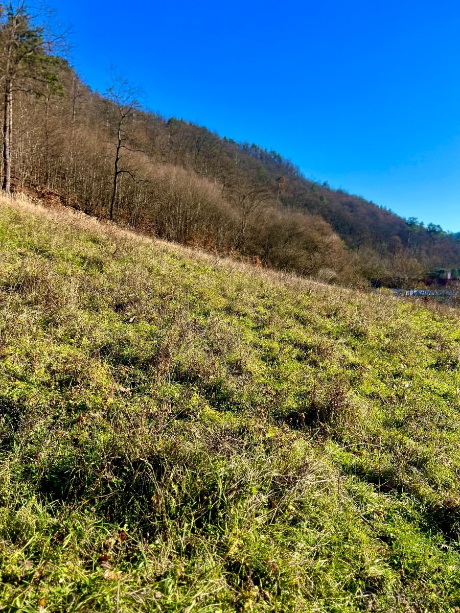 PREDAJ- POZEMOK PRI LESE - VOZNICA - 3