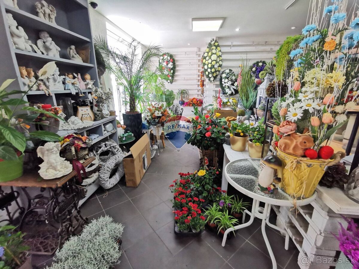 Záhradné centrum na prenájom, 1800m2, Snina - 3