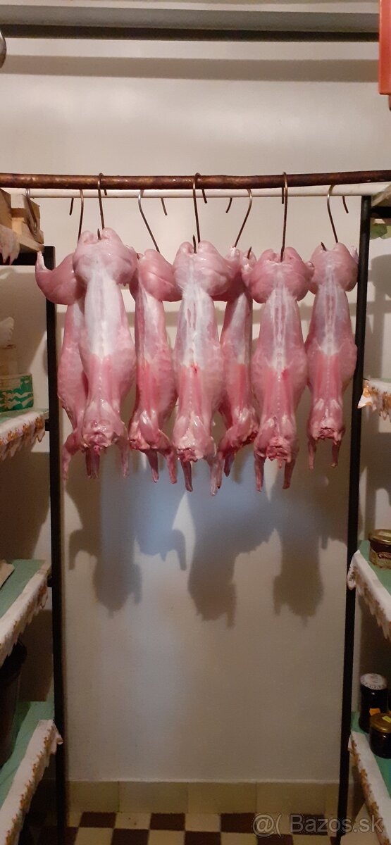 Ptedam mäso z mladych kralikov - 3