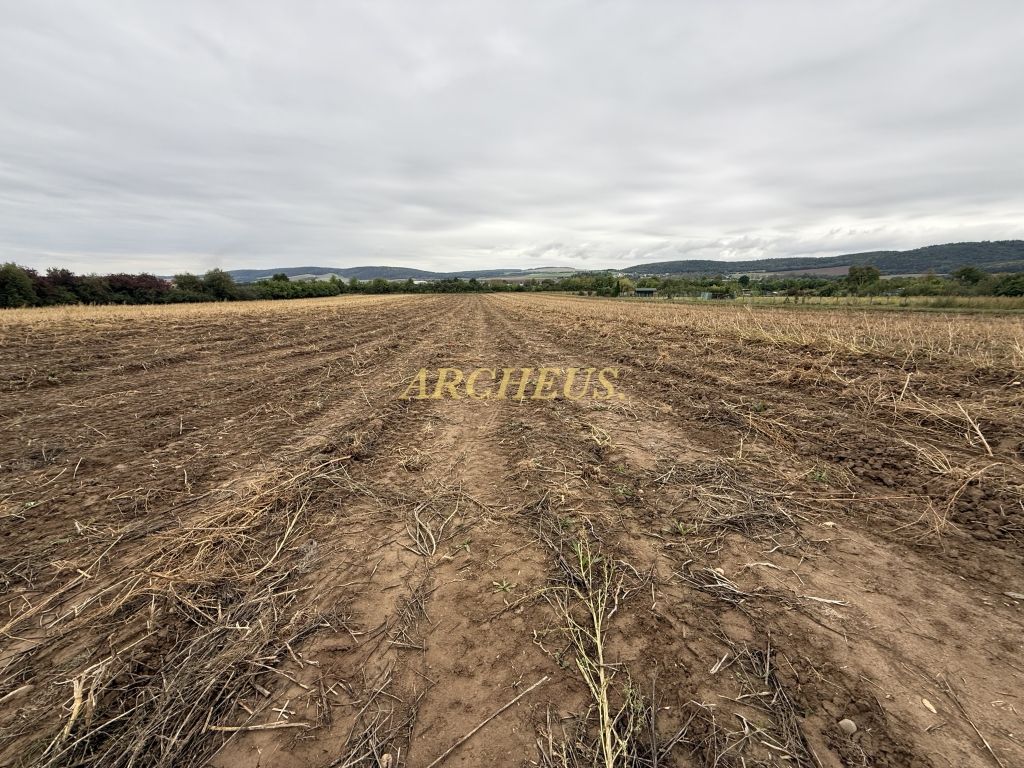 Predaj pozemku 8292m2, Sabinov, ul. Levočská - 3