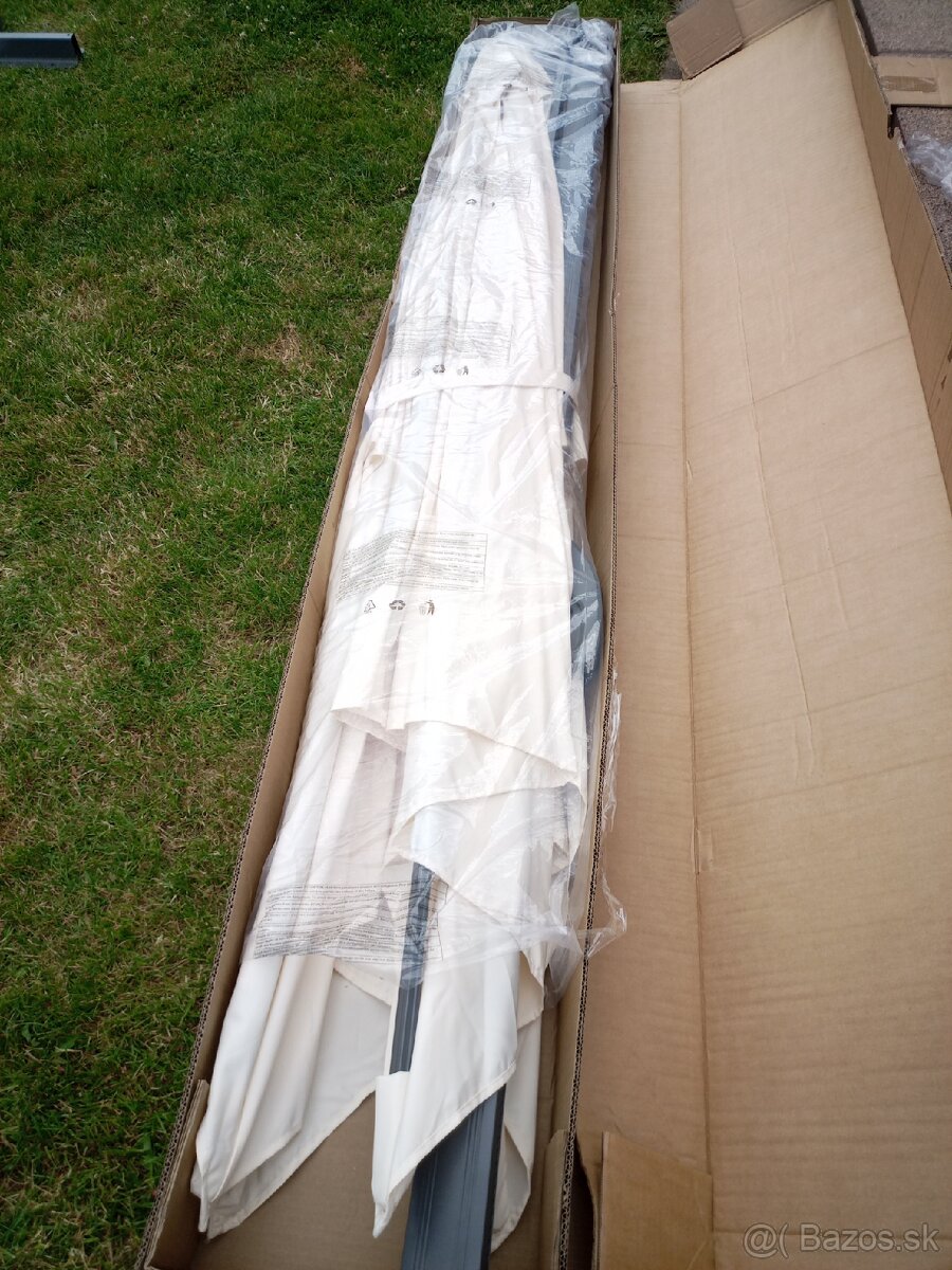 Slnečník Salvador - 3