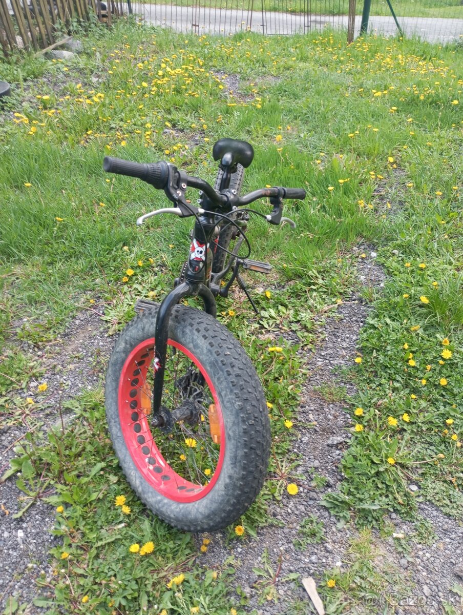 Fat bike - 3