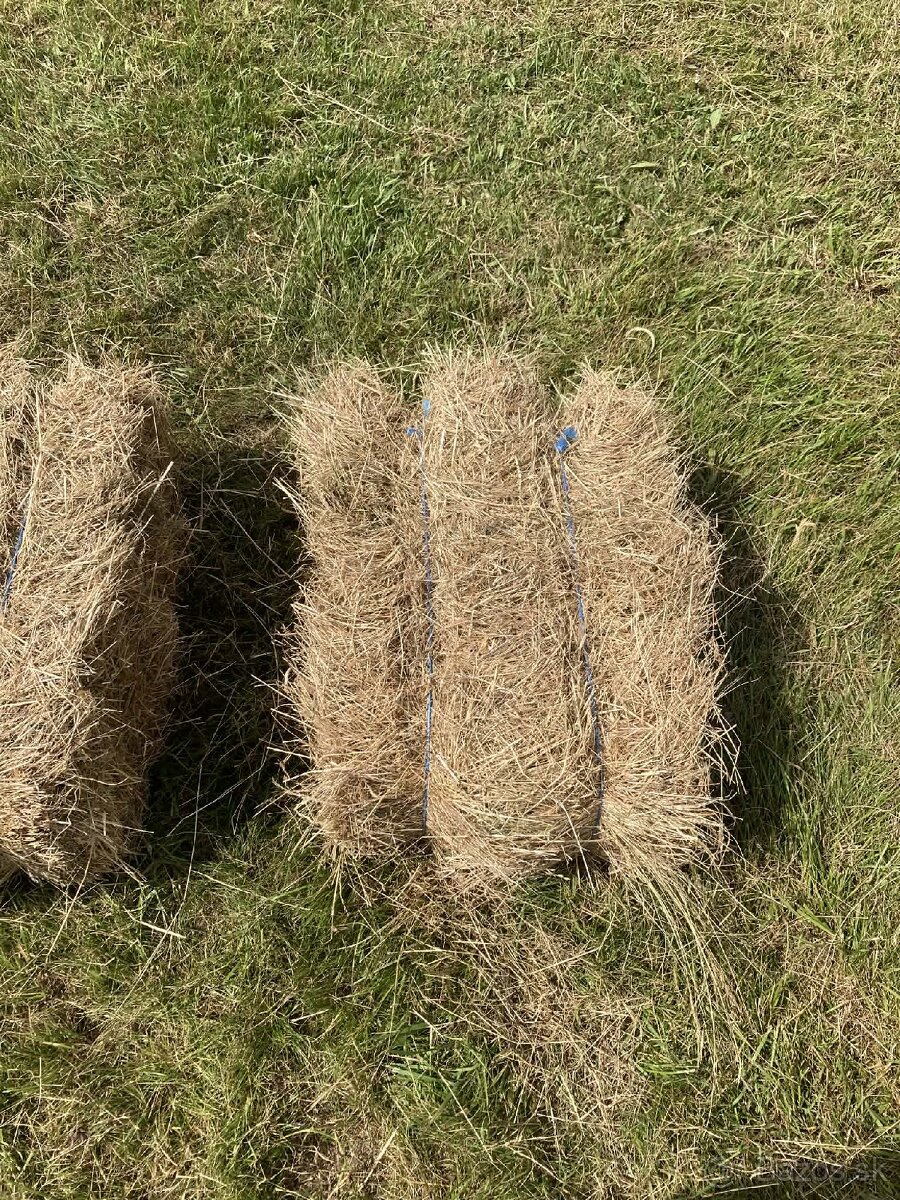 Predám balíky sena - 3