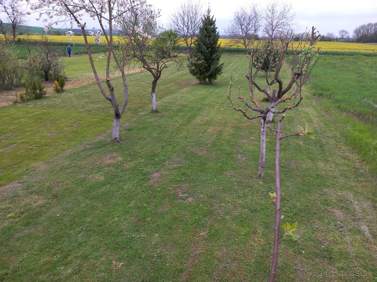 Pozemok/zahrada 1000m2 - 3