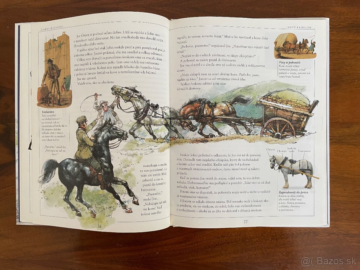 Anna Sewell - Čierny krásavec - 3