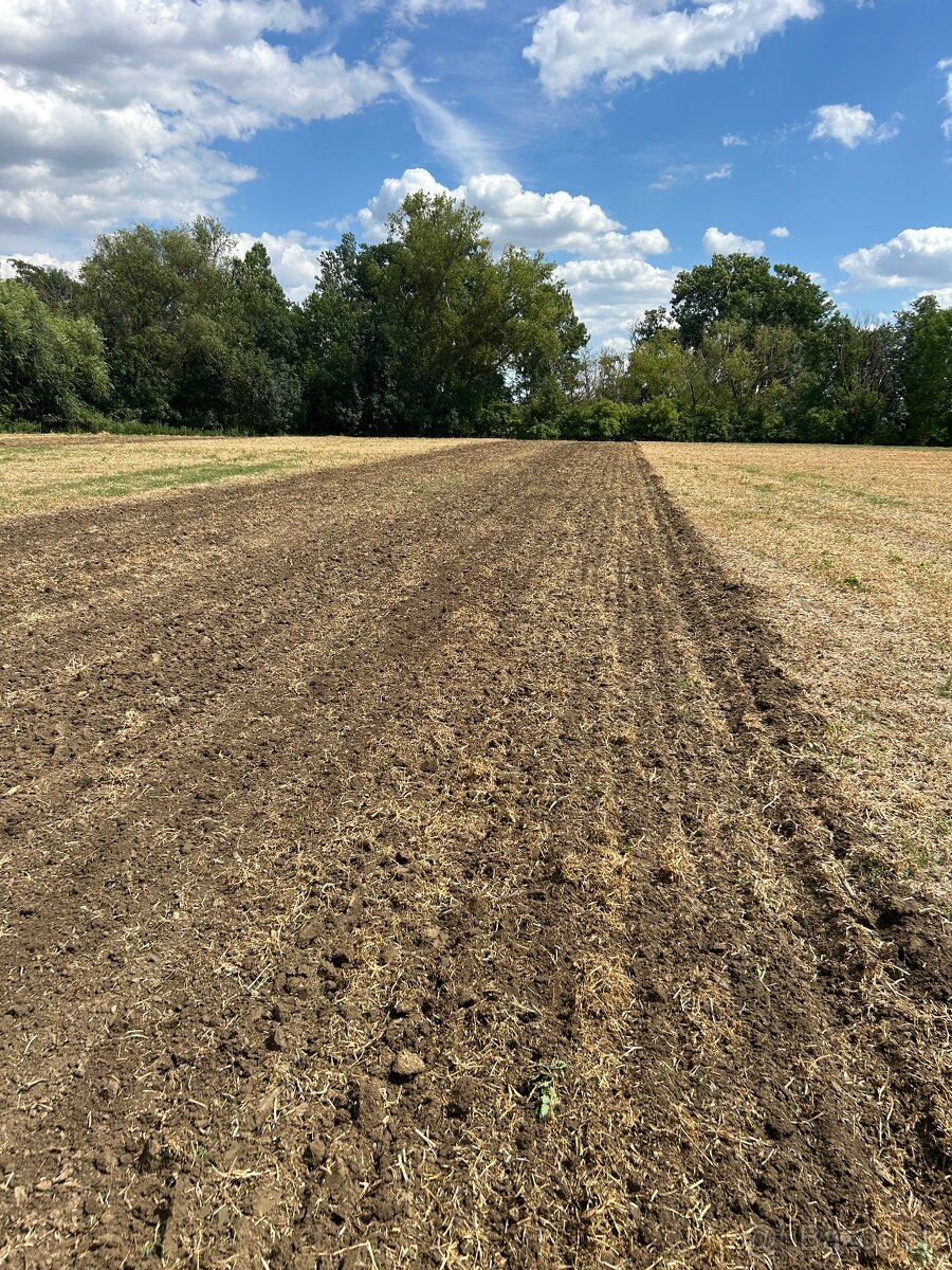 Diskový podmietač Lemken Rubin - 3