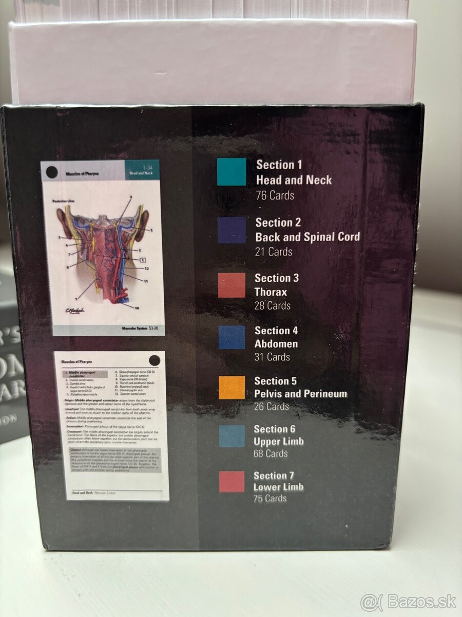Flashcards na anatómiu - 3