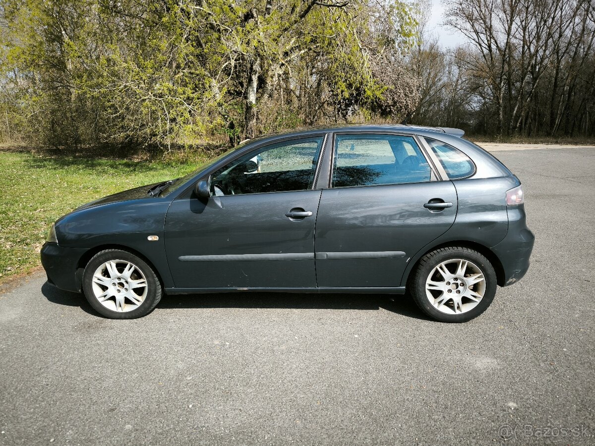 Seat Ibiza 6L 2007 1,9 TDI - 3