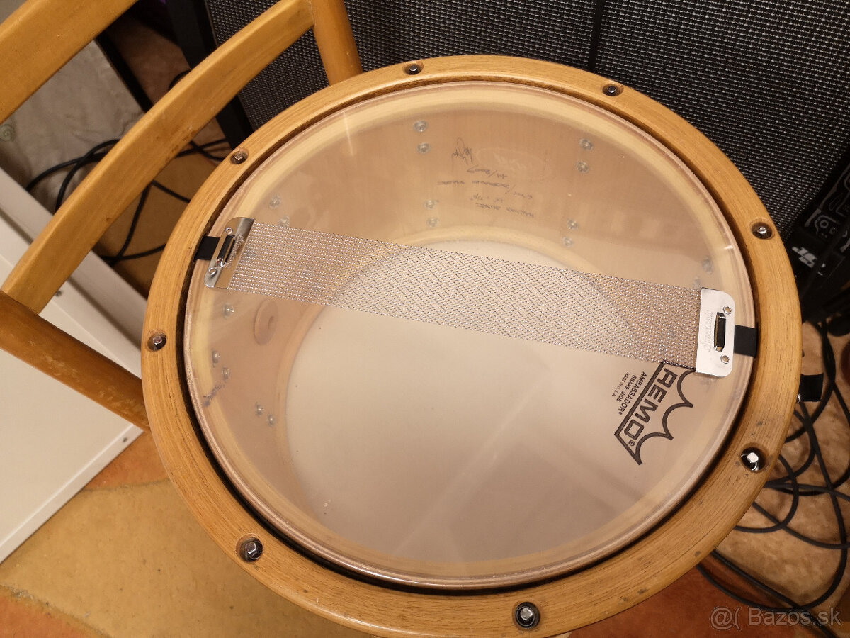Snare Hallwad - 3