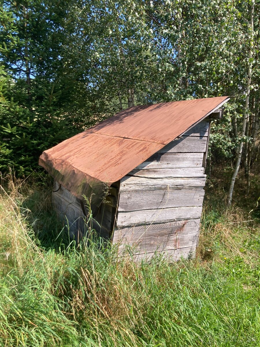 Kurnik, zajacinec - 3