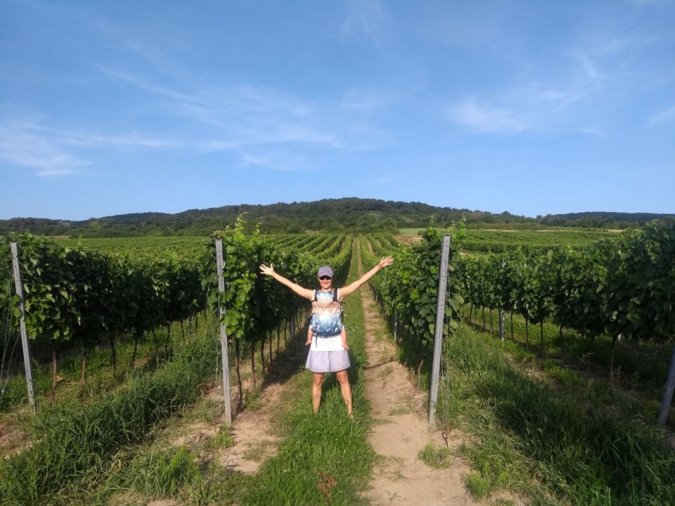 Nosič Rischino Flexi Xross od 5m do cca 3 rokov - 3