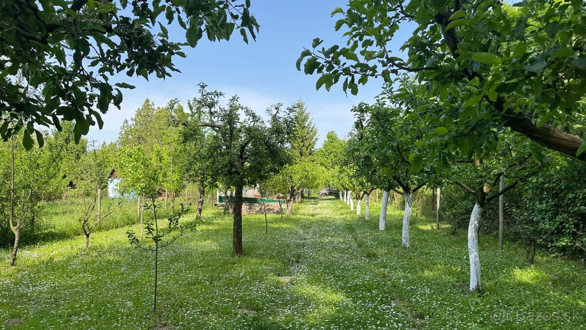 Predám chatu a pozemok Hamušad - 3