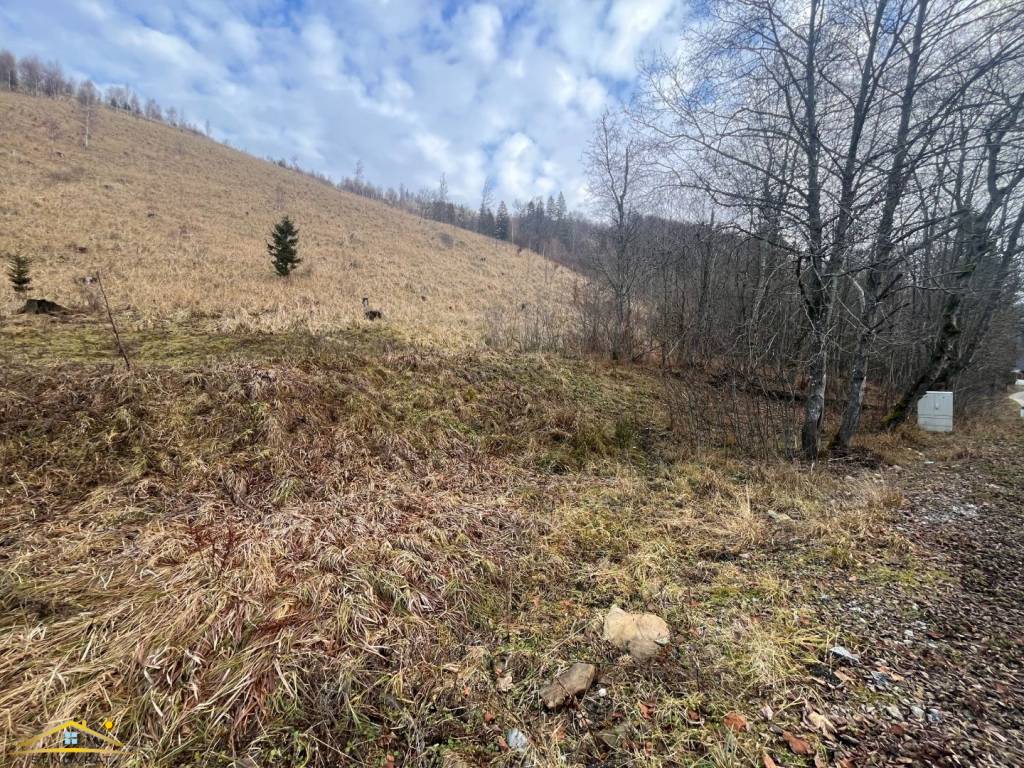 Predaj: Stavebný pozemok v obci Oščadnica (265 - 3