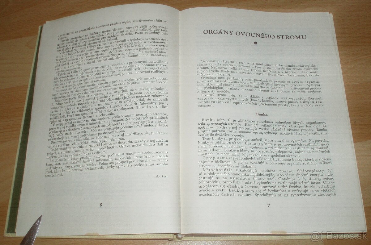 Štepenie, očkovanie a preštepovanie drevín - 3