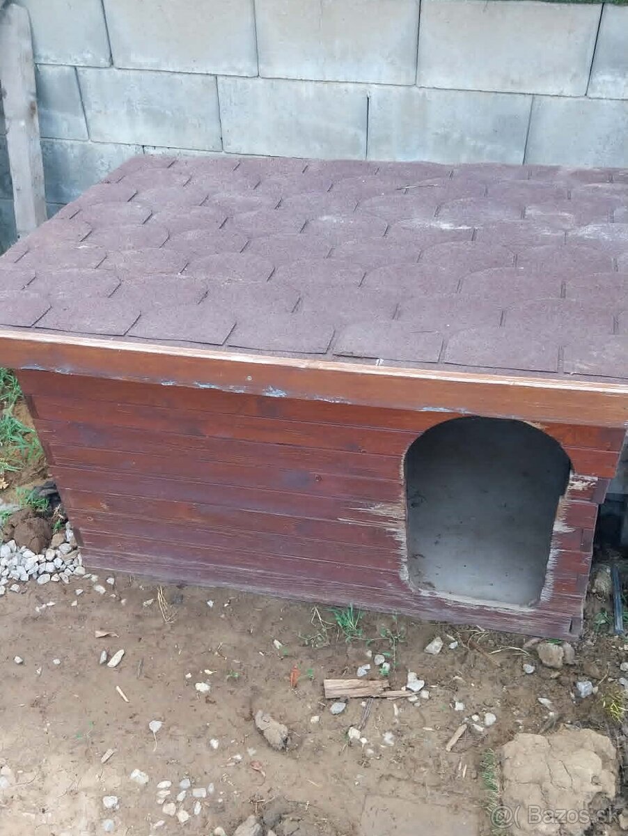 Búda pre psa - 3