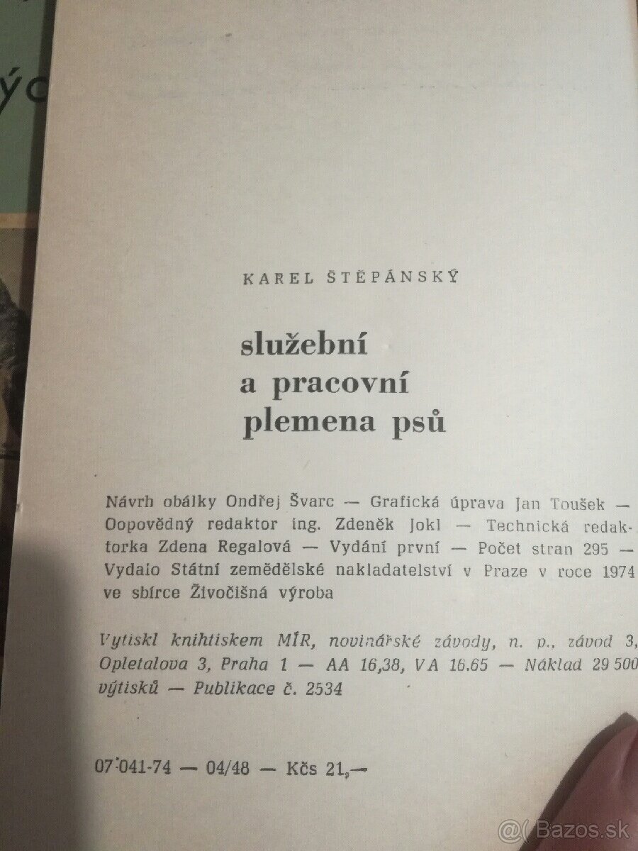 Služební a pracovní plemena psů - 3