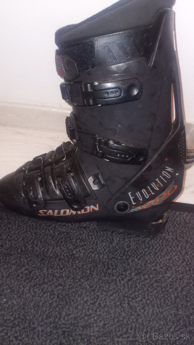 Lyže a lyžiarky - 3