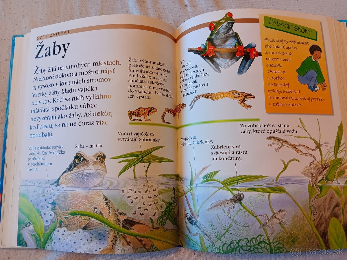 Detska ilustrovana encyklopédia - 3