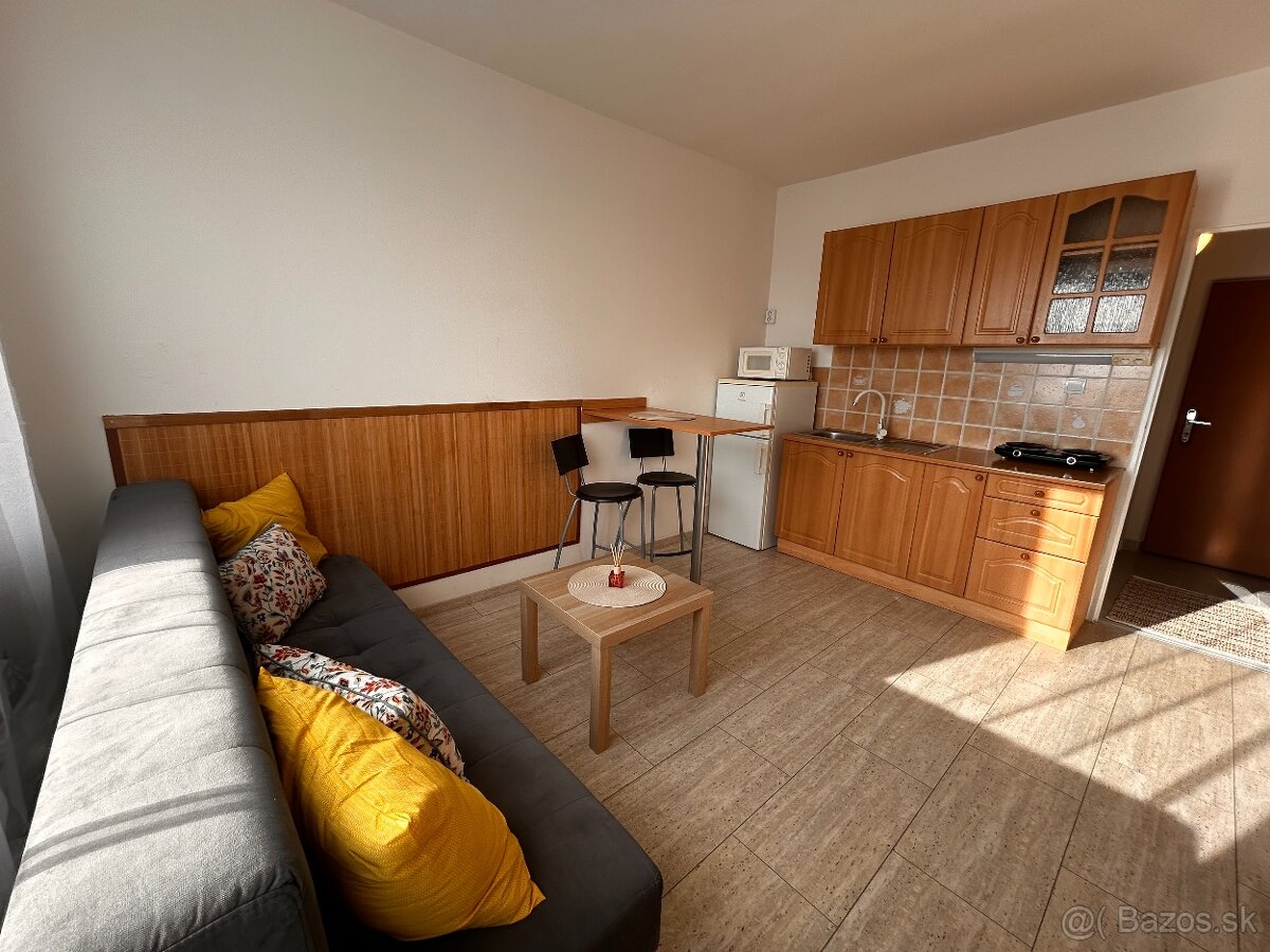 PET friendly útulná garsónka - 3