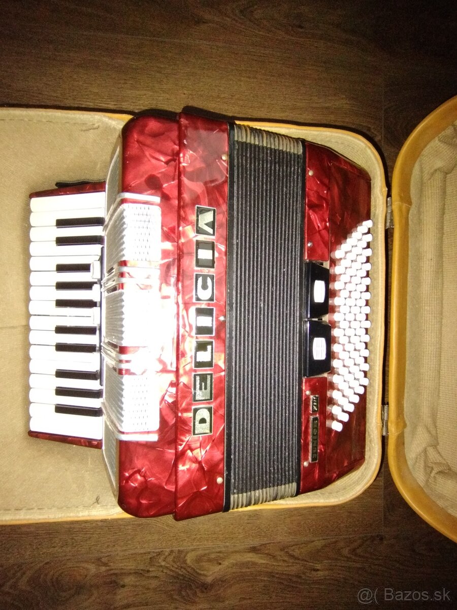 Akordeón - 3