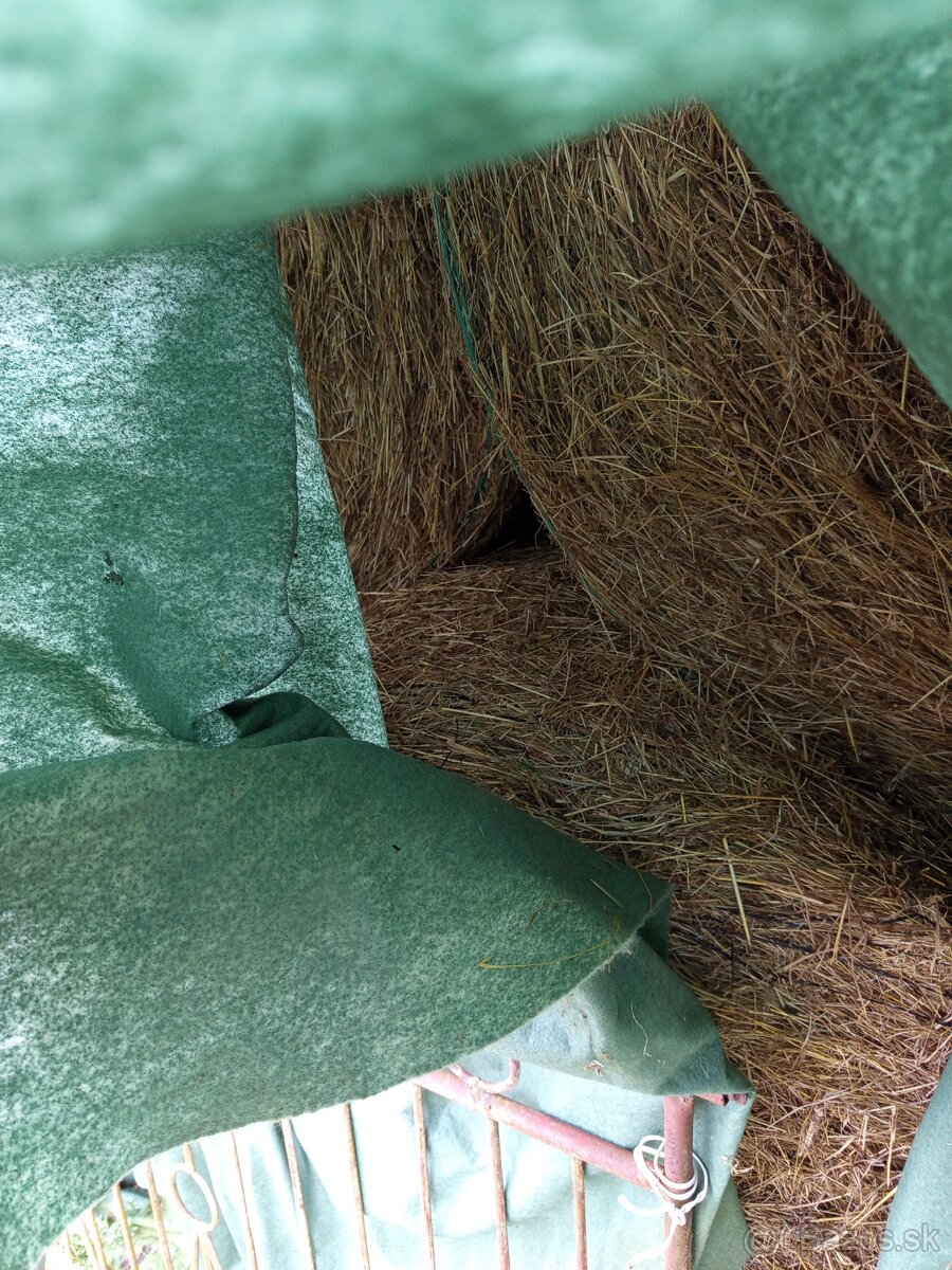 Predám balíky sena - 3