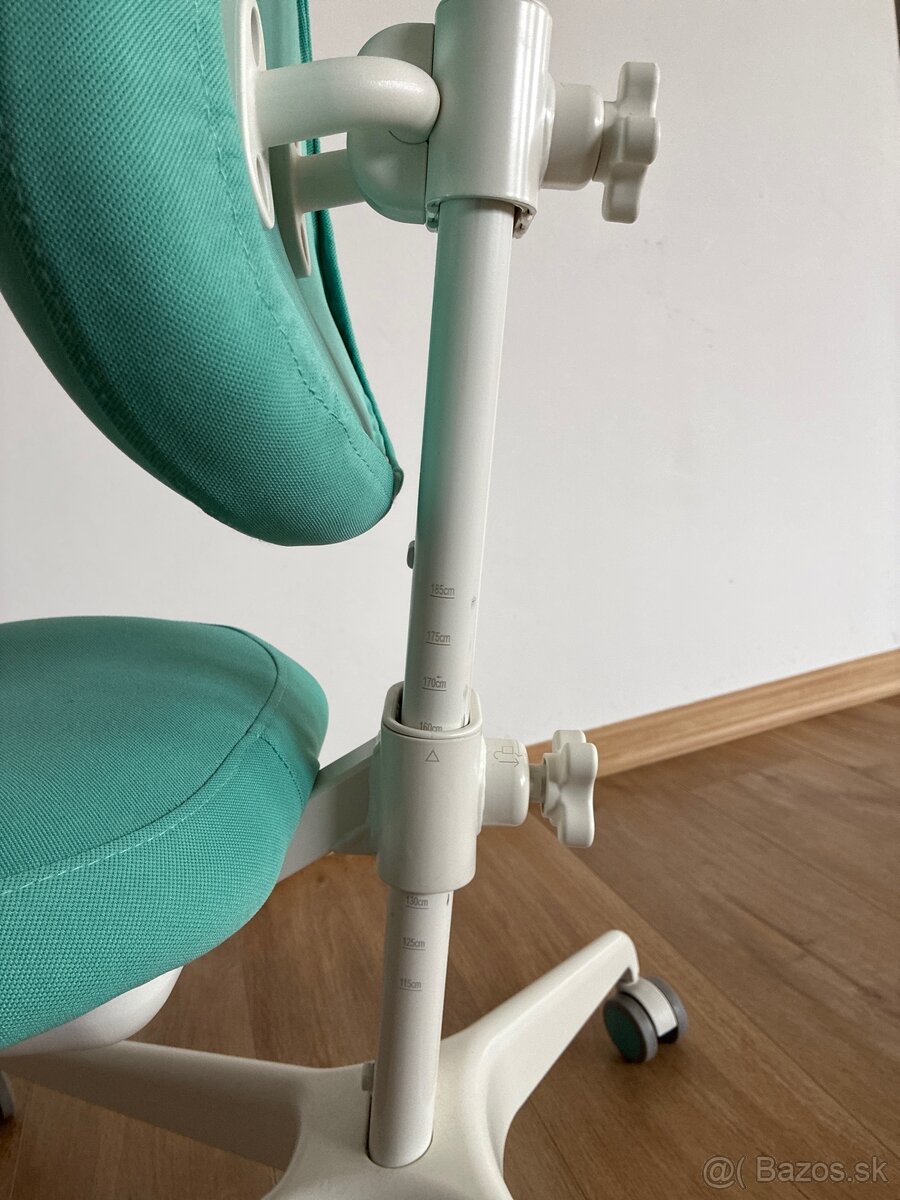 Rastuca stolicka 115-185 cm - 3