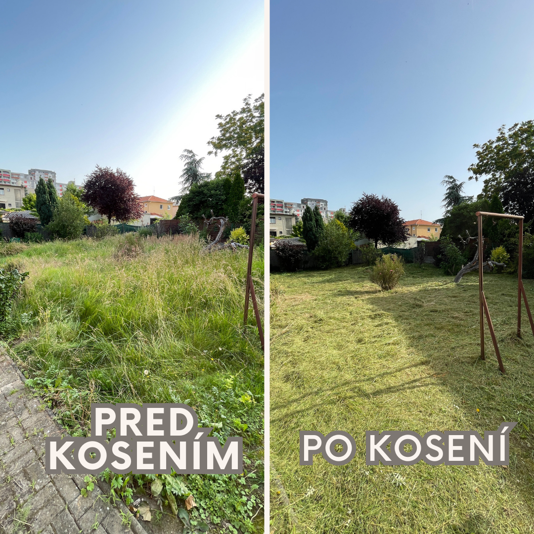 KOSENIE TRÁVY, PÍLENIE DREVA, ÚDRŽBA OD 30€ - 3