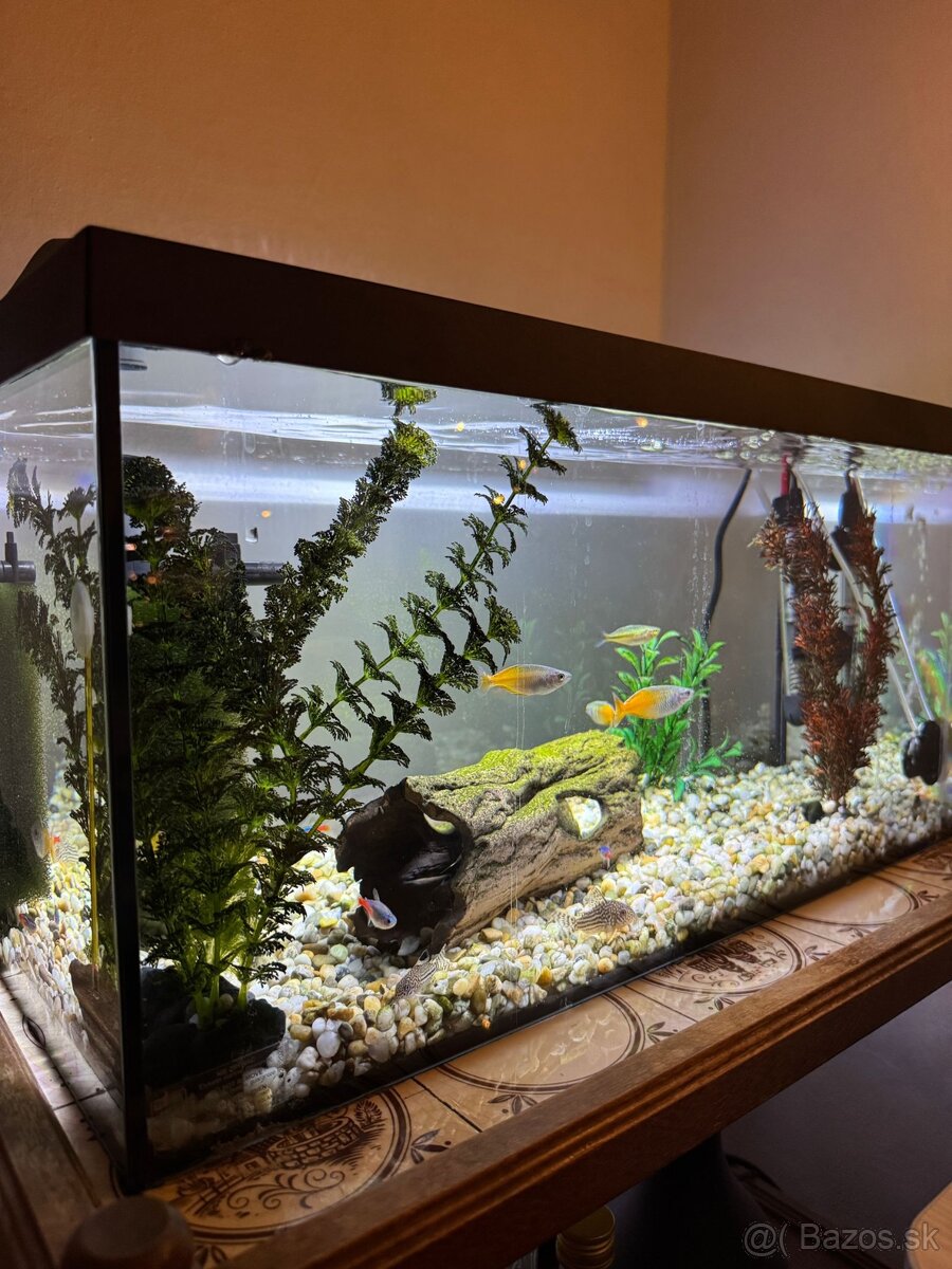 Predám akvárium - 3