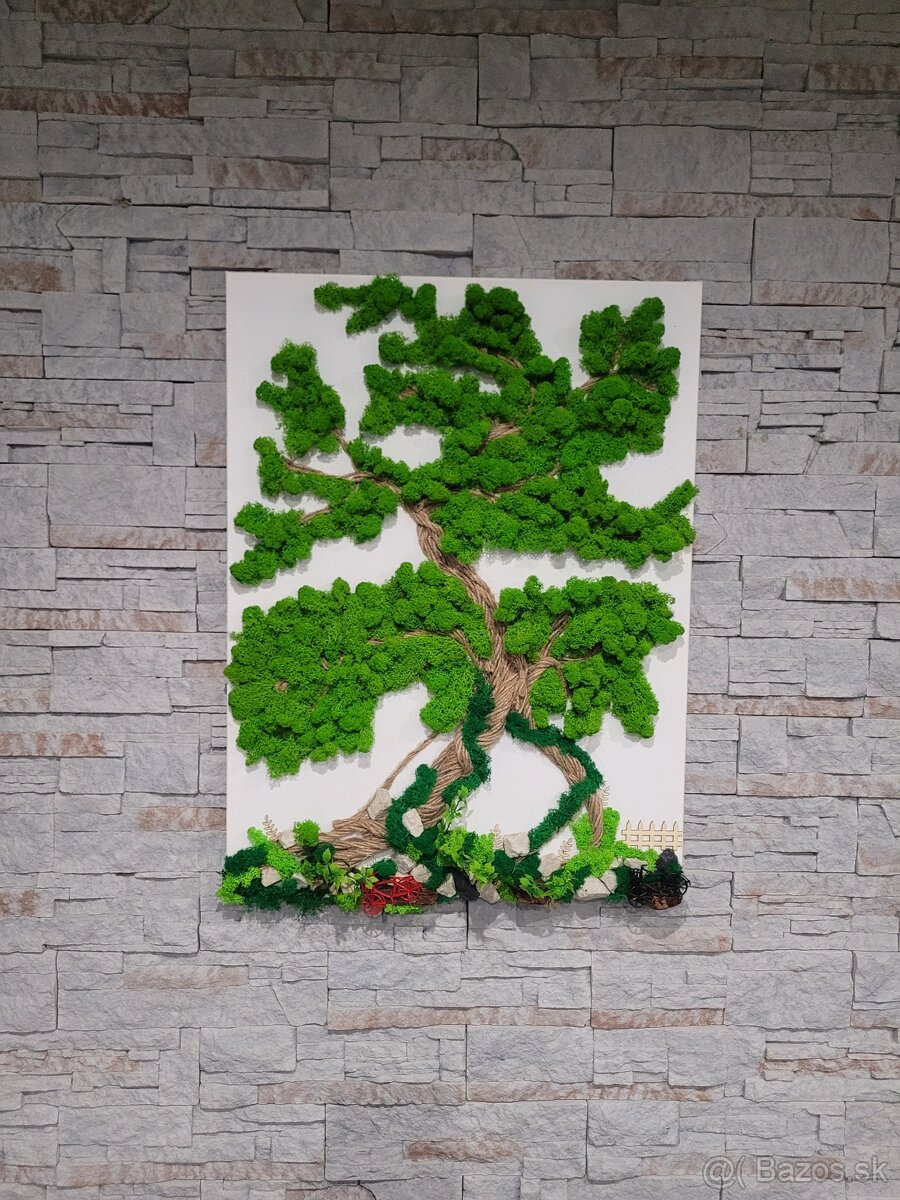 Machovy obraz na plátne - 3