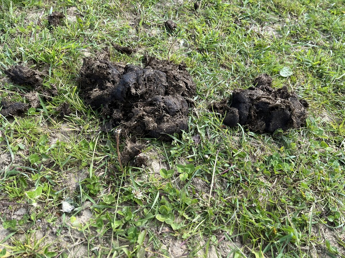 Vrecovany Konsky hnoj - 3