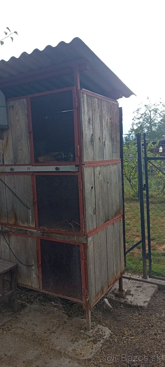 Zajačnik králikareň - 3