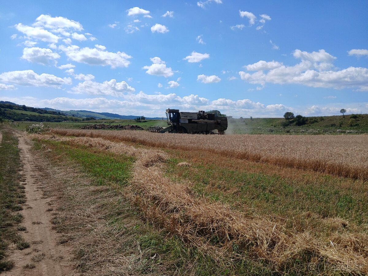 Predam jacmen, psenicu, ovos s dovozom. - 3