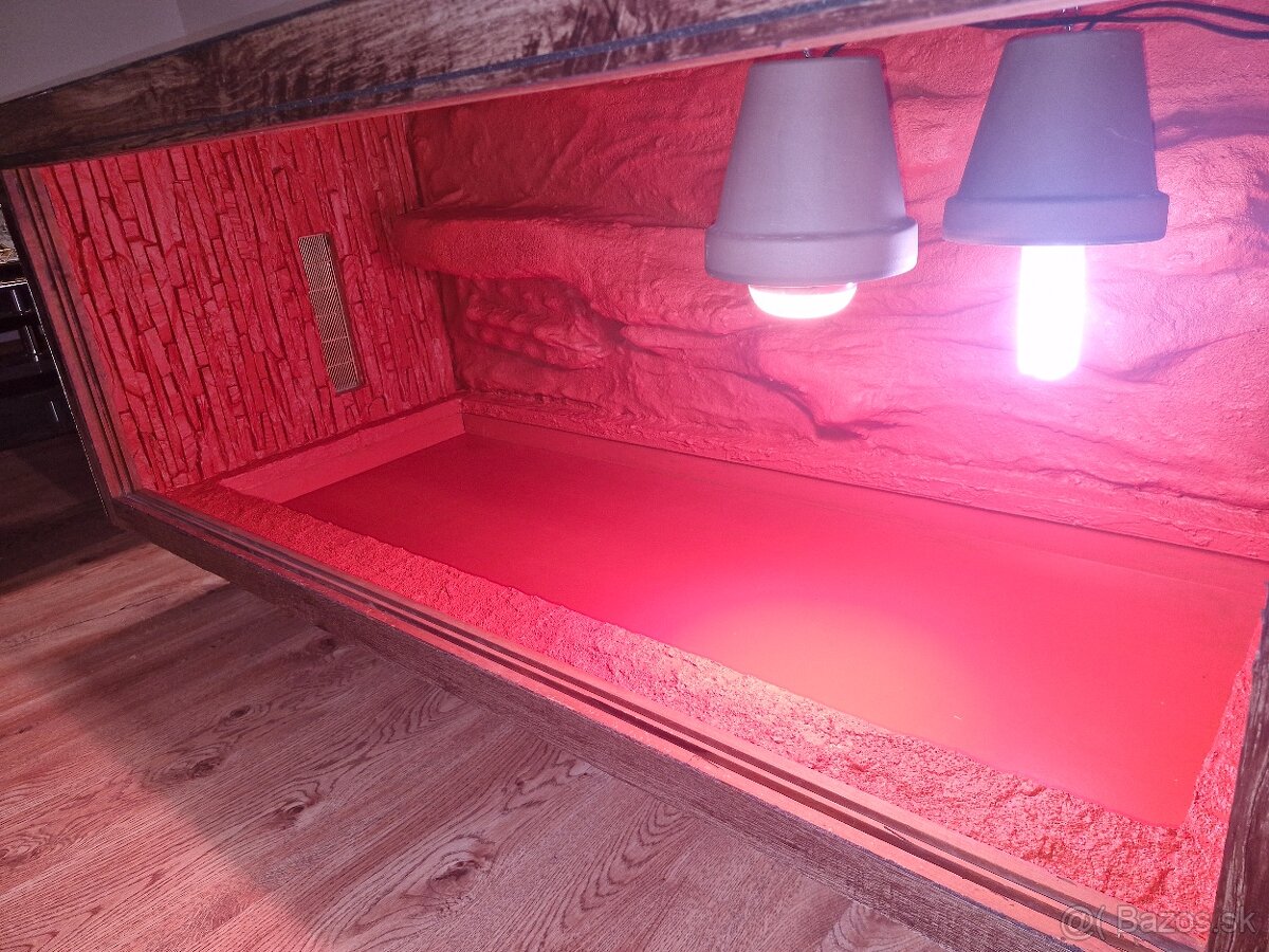 🦎 Predám krásne terárium + výbavu + amgamki - 3