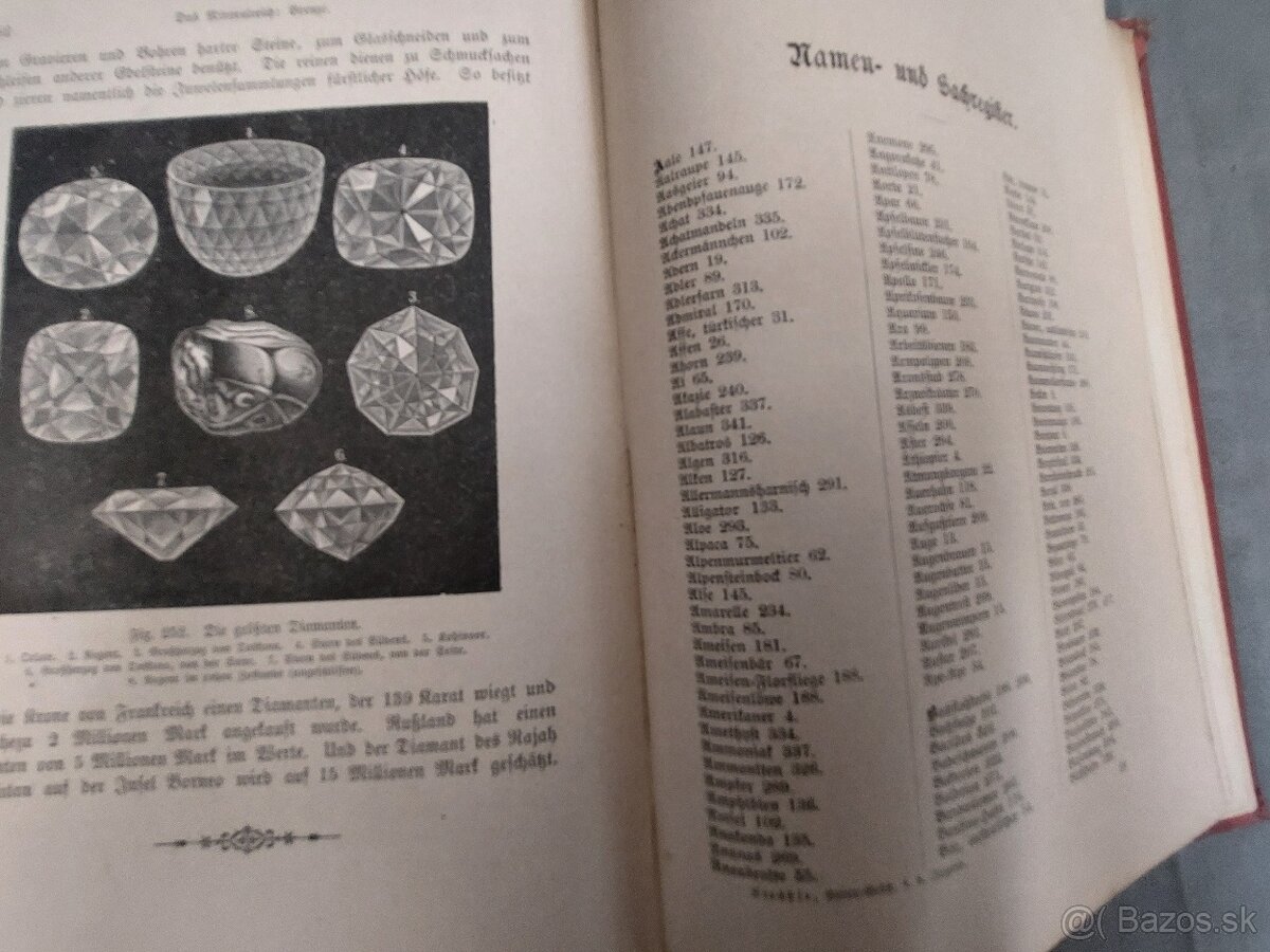 Naturgeshichte 19.storocie - 3