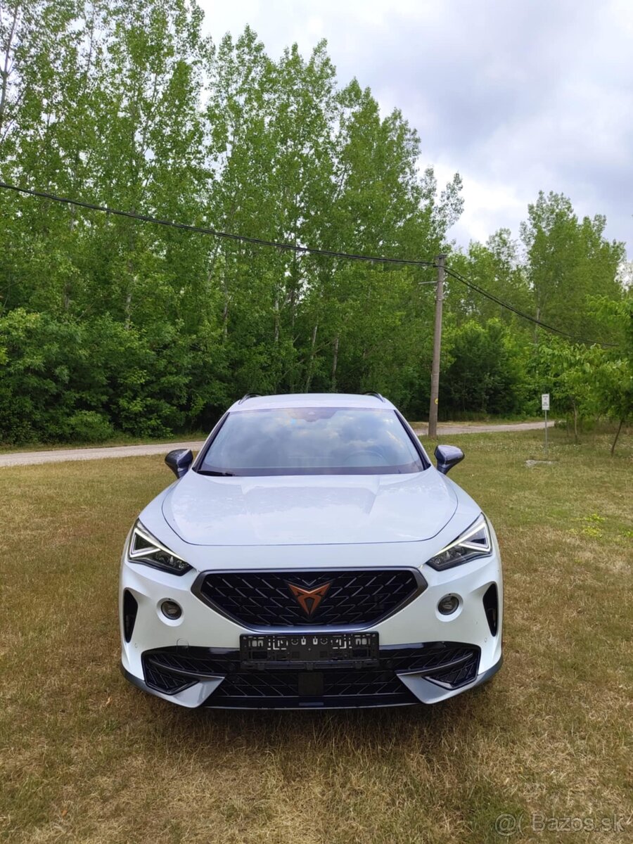 Cupra Formentor 2.0 TDI 150k - 3