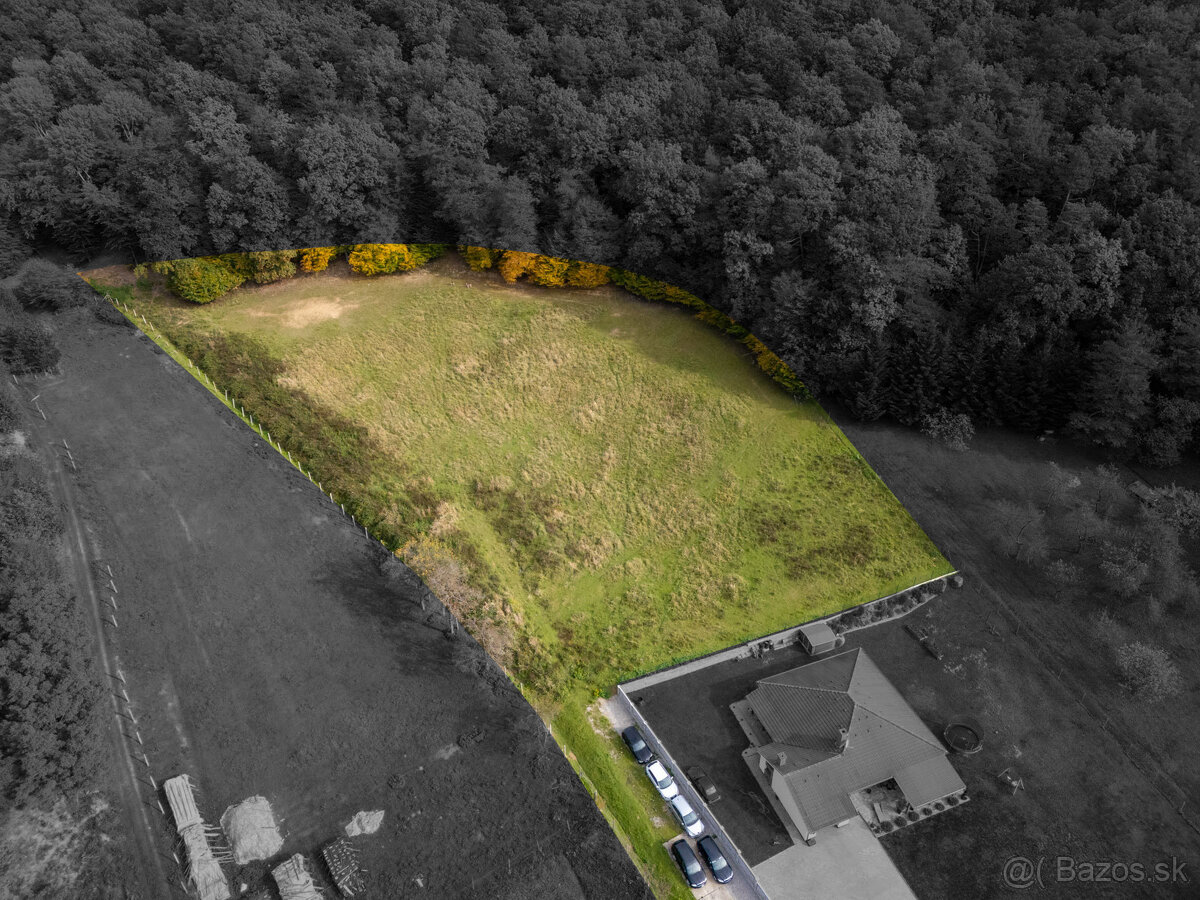 Lukratívna ponuka pozemku v obci Brezolupy 8040m2 - 3