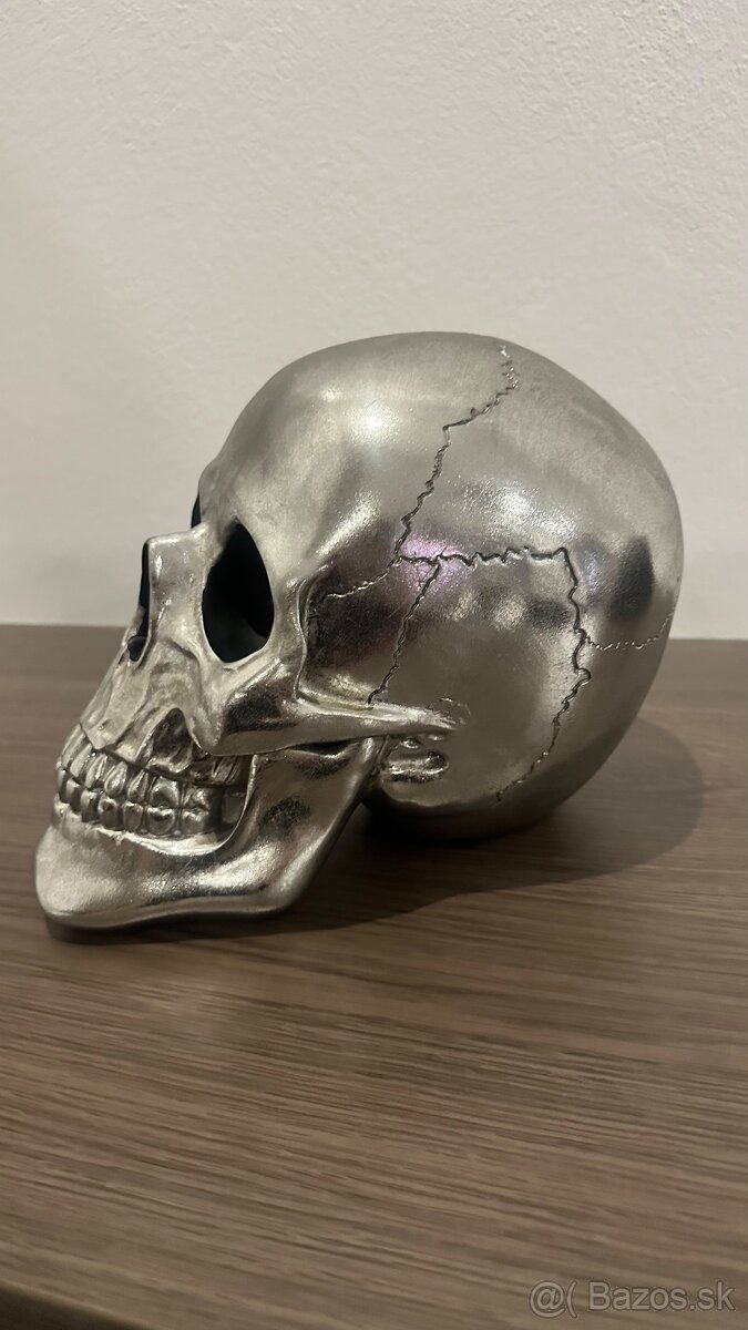 Lebka dekorácia - 3