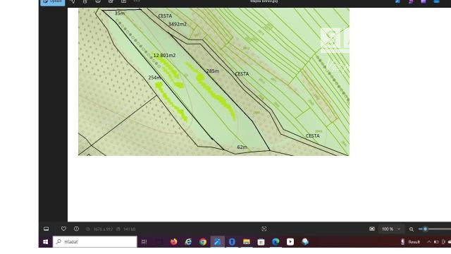 Stavebný pozemok Bzince pod Javorinou - Vrzavka 16293m2. - 3