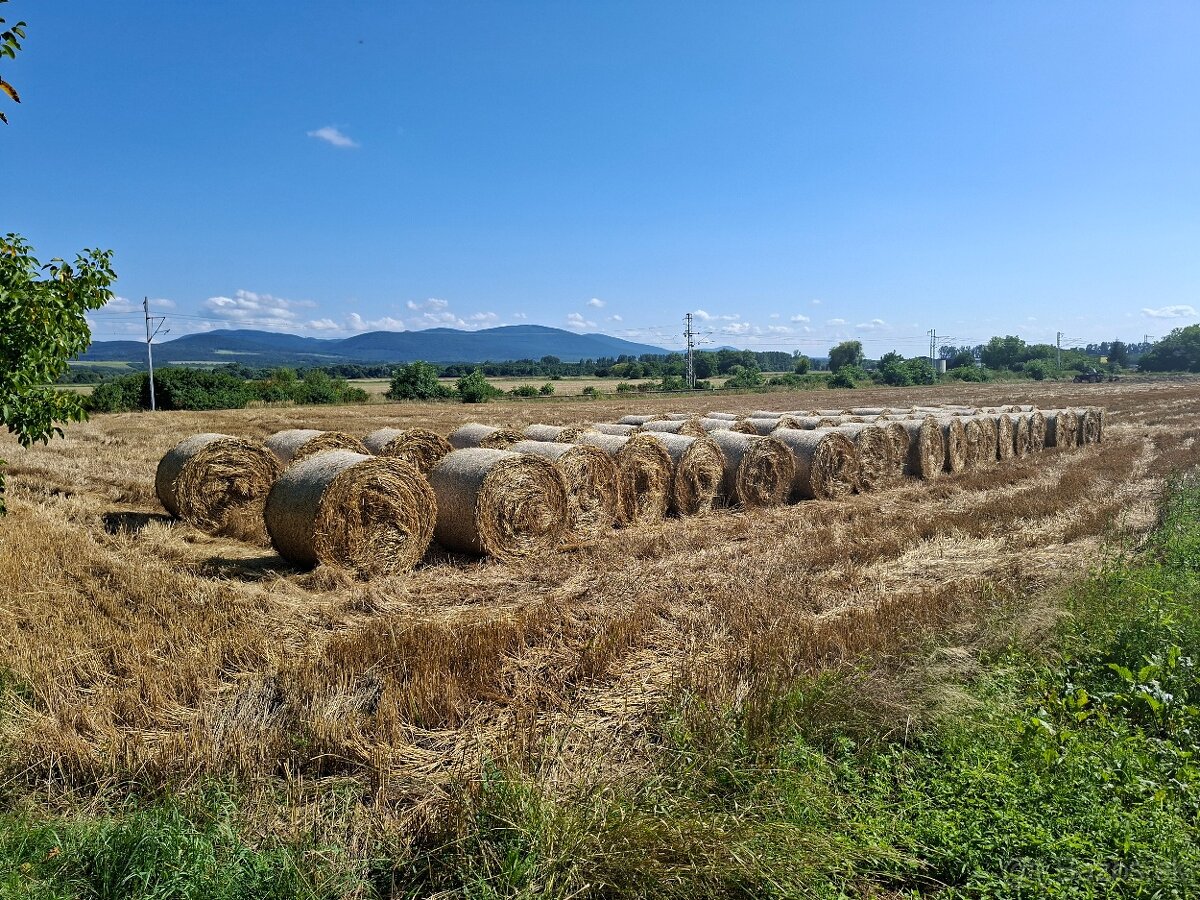 Pšenična slama na predaj - 3