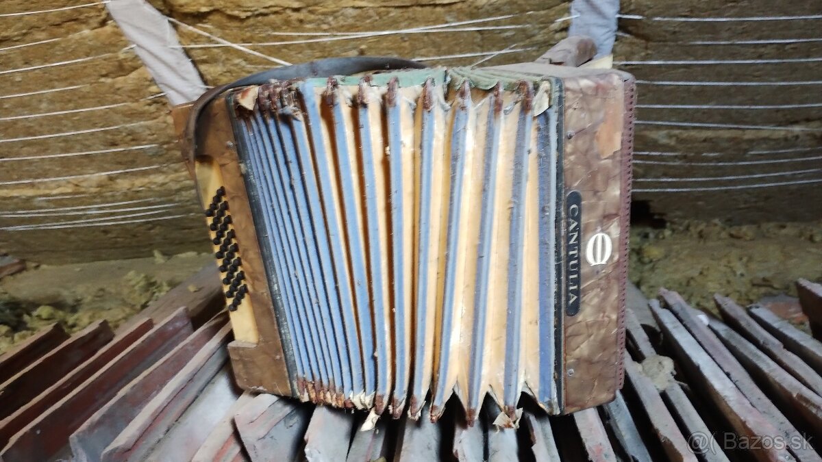 Heligonka Cantulia pre zberatela - 3