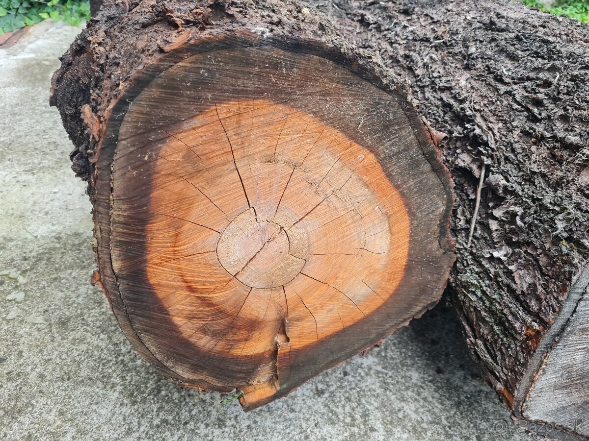 Predám čerešňové drevo - 3