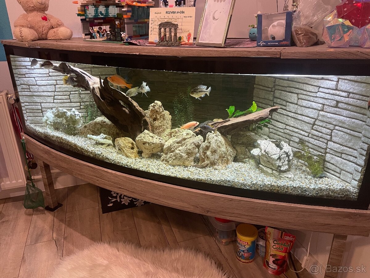 Veľké rohové akvárium - 3